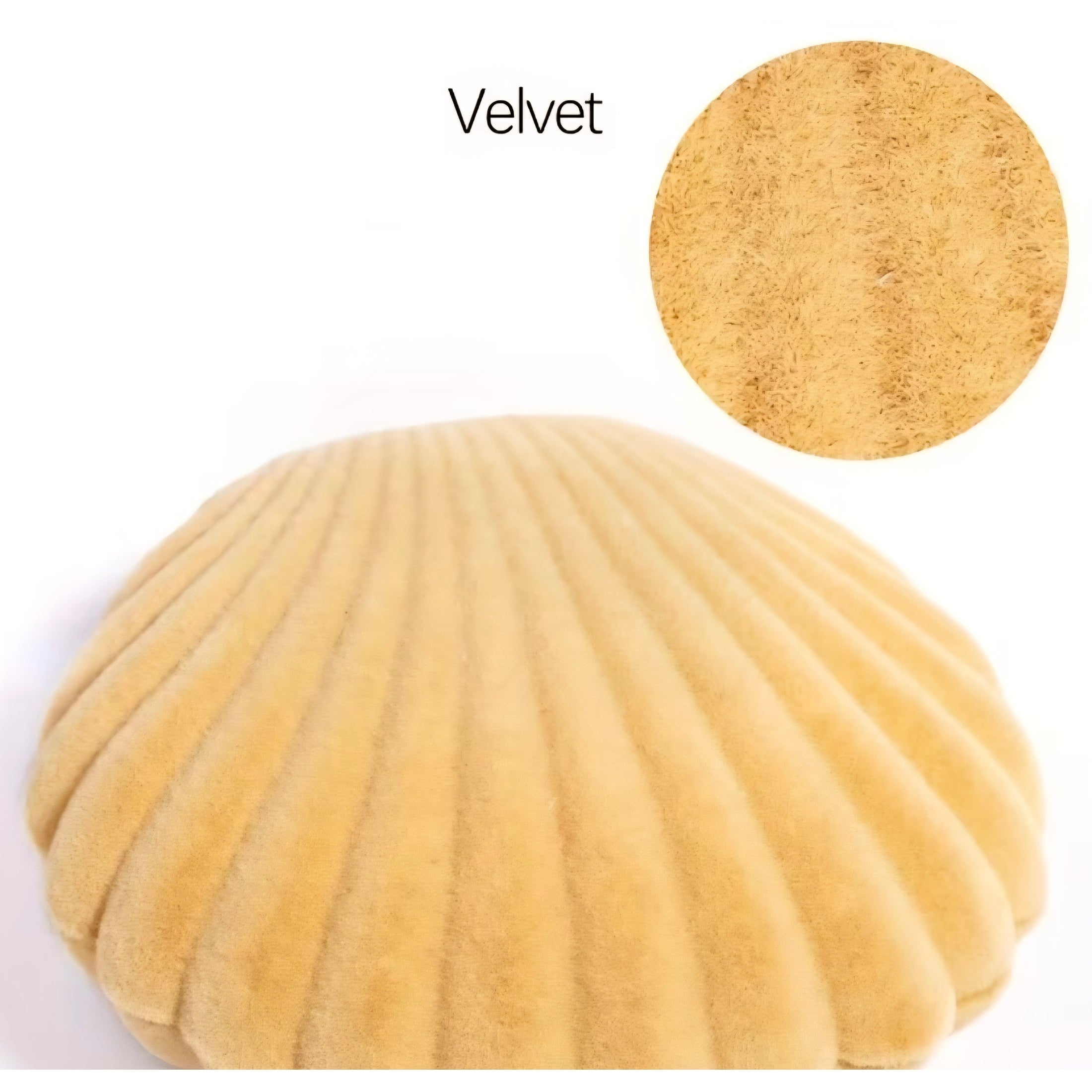 Seashell Velvet Jewellery Gift Box – Elegant Ring & Keepsake Storage Case